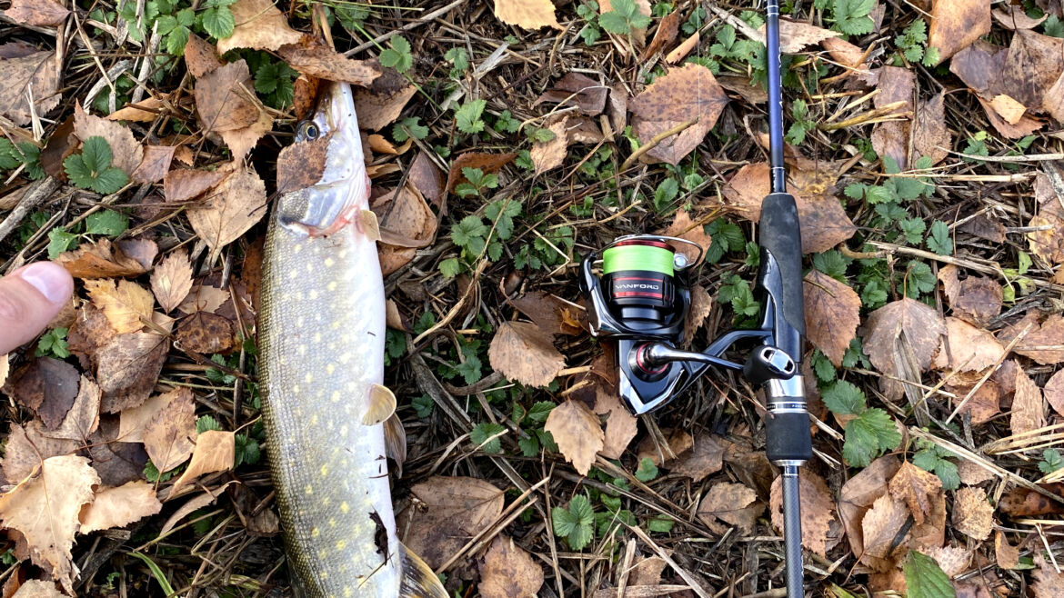 Fishing After Rain: Exploring the Pros and Cons of Post-Rain Fishing