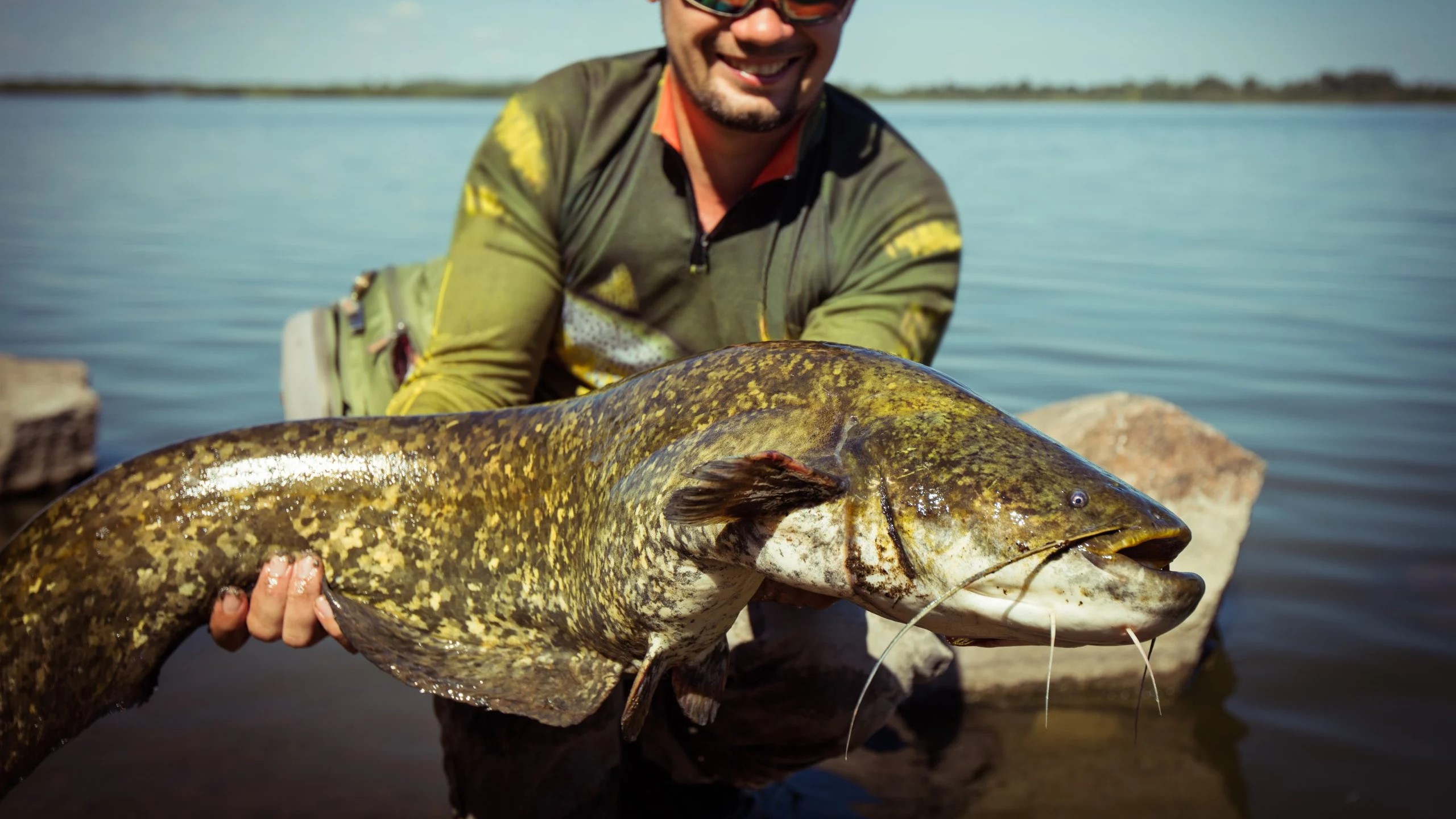 Optimal Catfish Catching: Discover the Best Time to Fish in Rivers