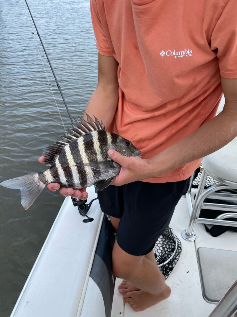 Sheepshead fishing in FL