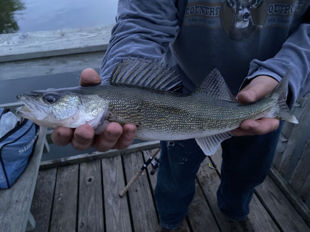 Walleye season in MI