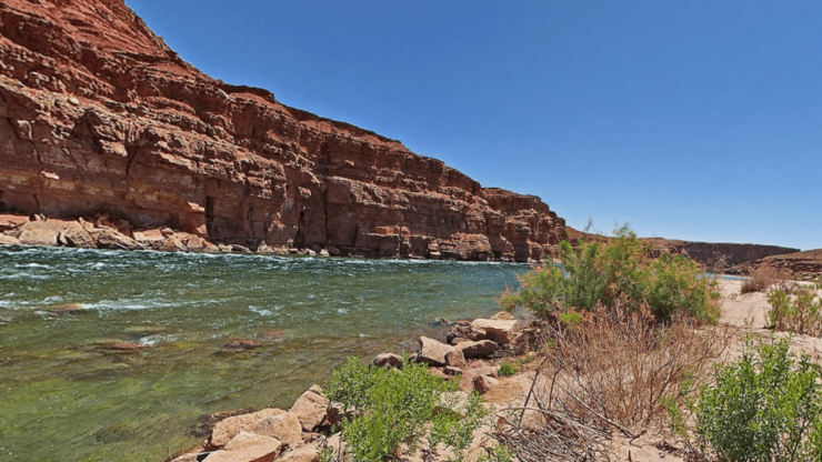 Complete Guide to Arizona Fishing Licenses