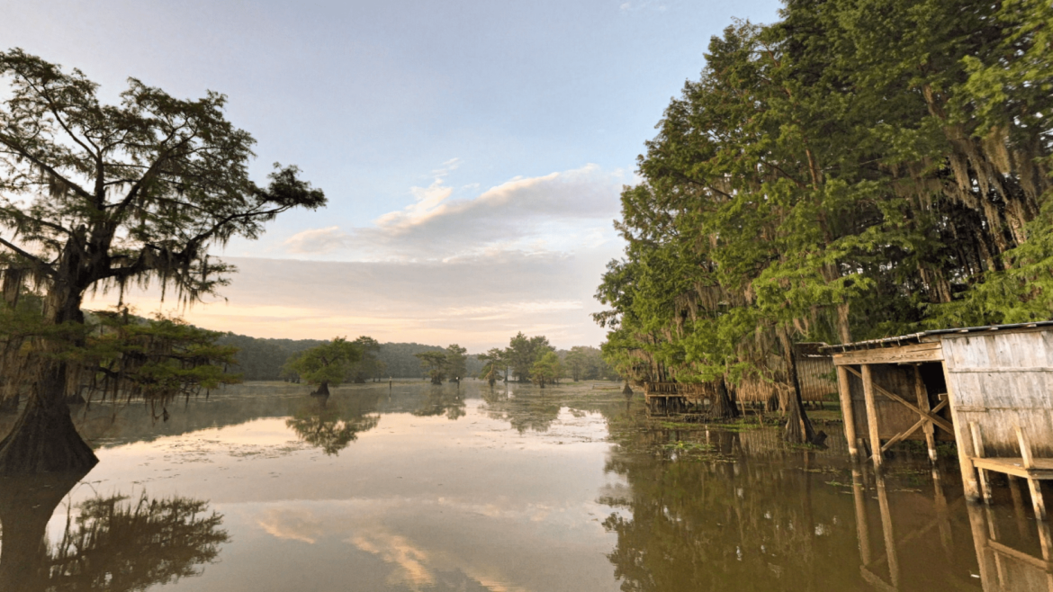 Complete Guide to Louisiana Fishing Licenses