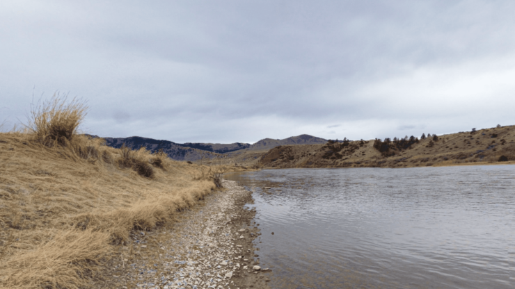 Complete Guide to Montana Fishing Licenses