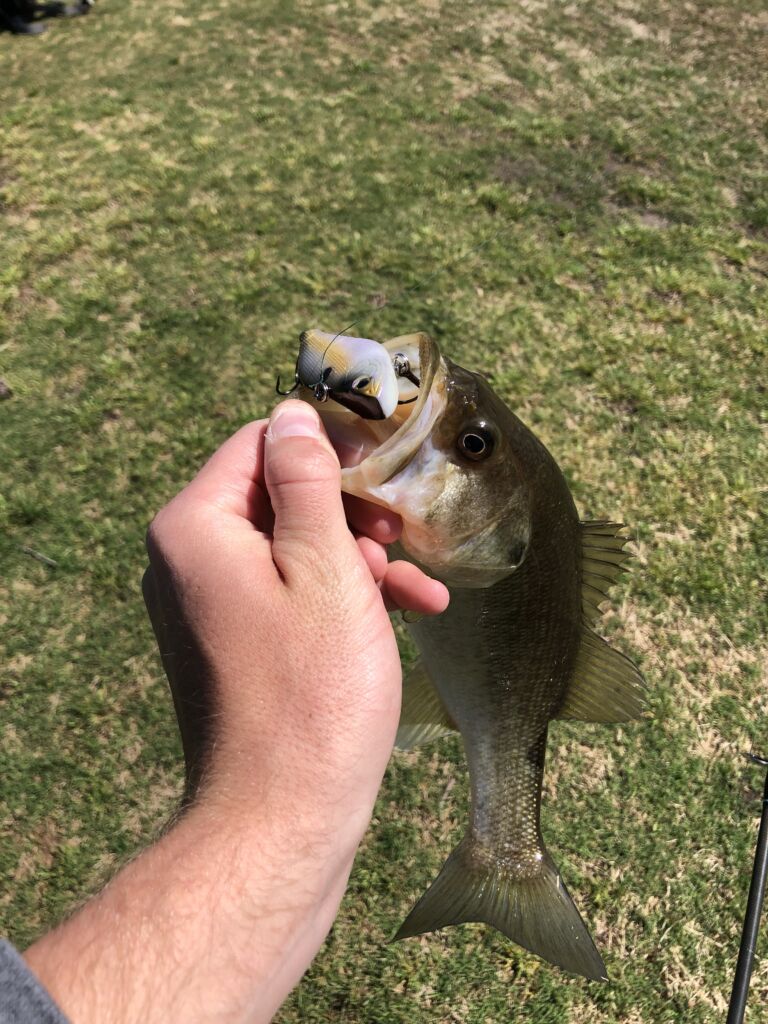 Bait fishing on the golf course