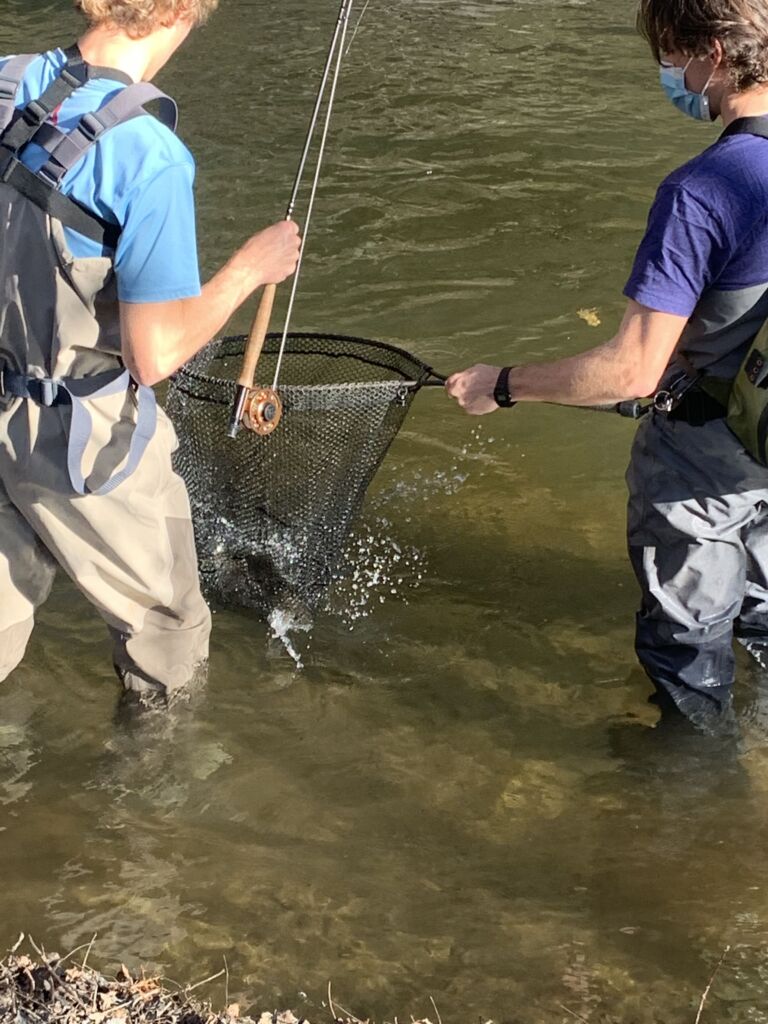 Fishing for trout in rivers