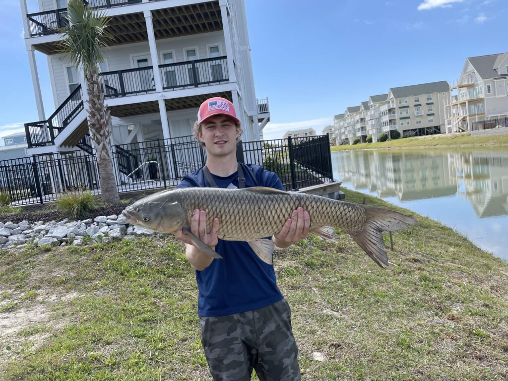 Fishing carp