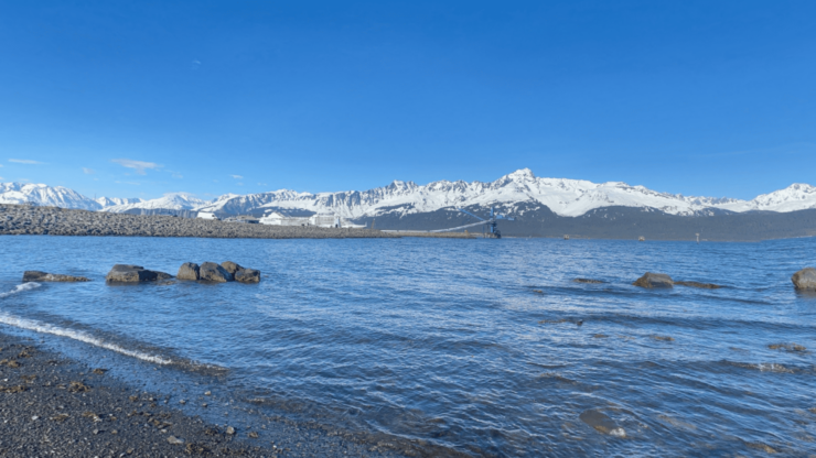 Complete Guide to Alaska Fishing Licenses