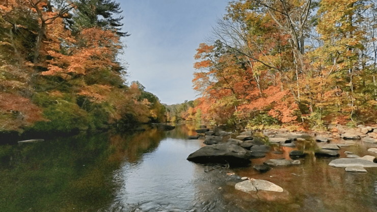 Complete Guide to Connecticut Fishing Licenses