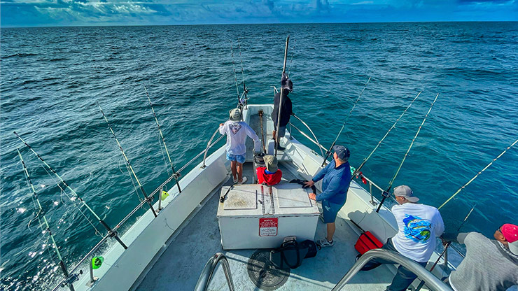 Deep Sea Fishing: A Comprehensive Guide for Beginners and Enthusiasts