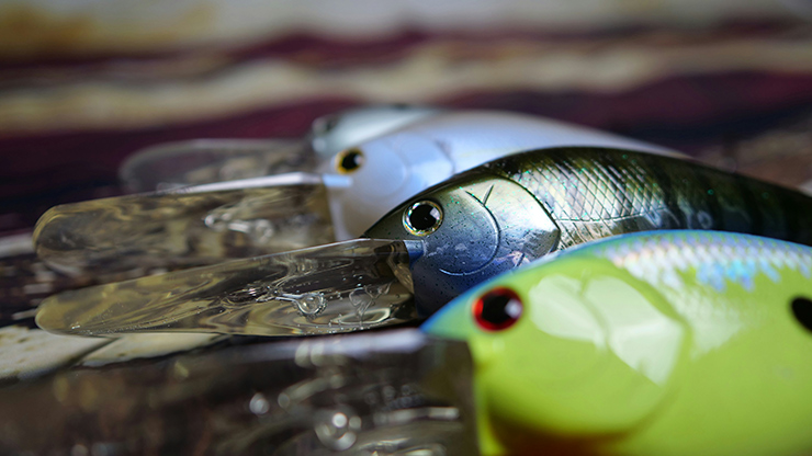 Most Common Types of Fishing Lures