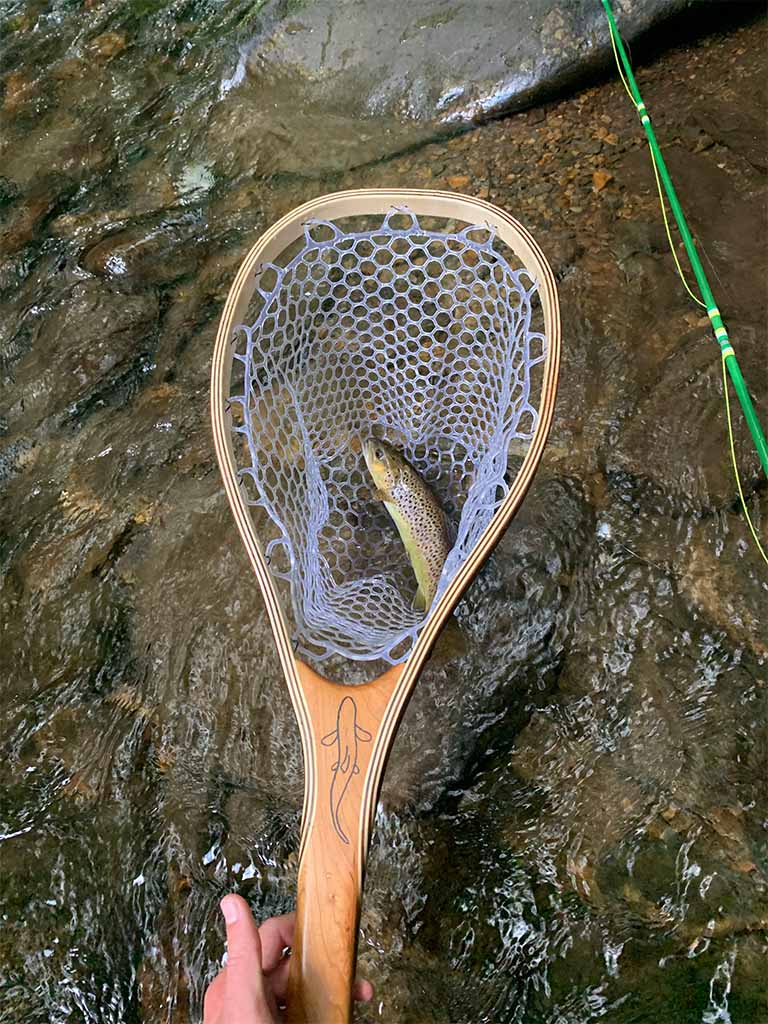 Trout fly fishing for beginners by using net