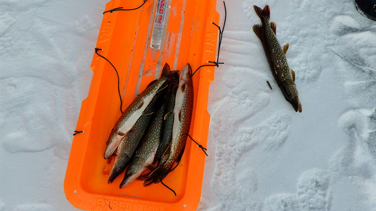 Ice Fishing Basics